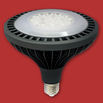 LED PAR38