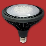 LED PAR38