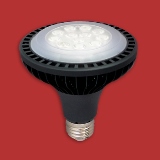 LED PAR30