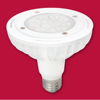 17W PAR38 Waterproof