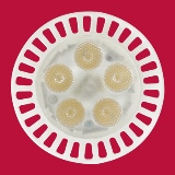 LED MR16 GU5.3 (6.5W)