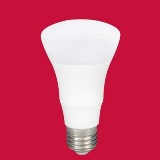10W LED BULB